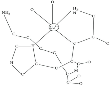 銅肽(圖1)