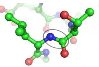 三肽-1(圖1)